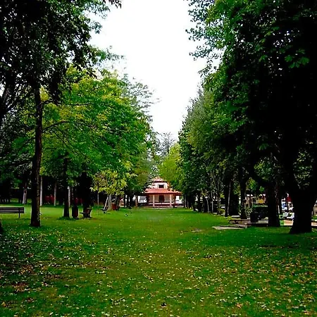 Alda سوريا